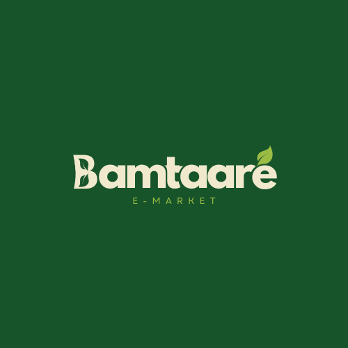 Image de présentation Bamtaaré eMarket