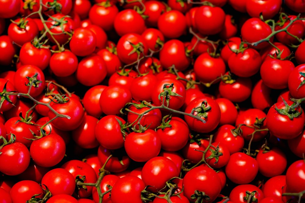 Tomates