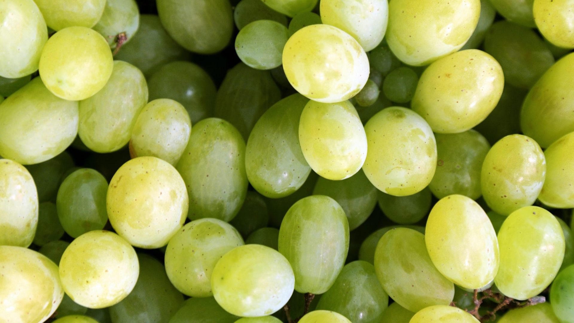 Raisins