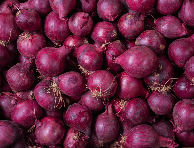 Oignons
